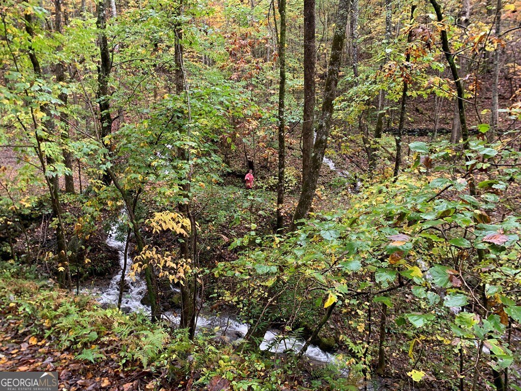 1022 Coweeta Gap Road Otto - Photo 46