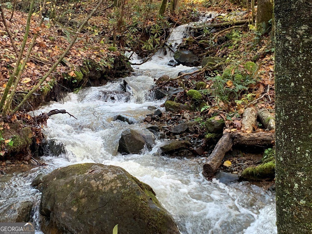 1022 Coweeta Gap Road Otto - Photo 47