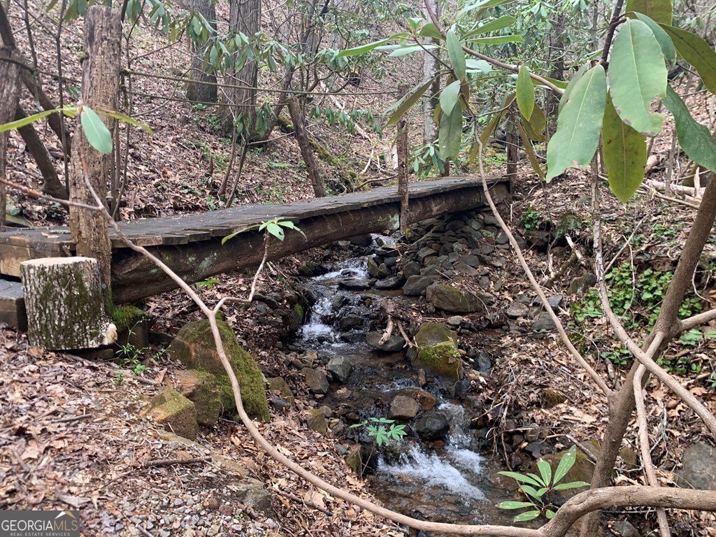 1022 Coweeta Gap Road Otto - Photo 48