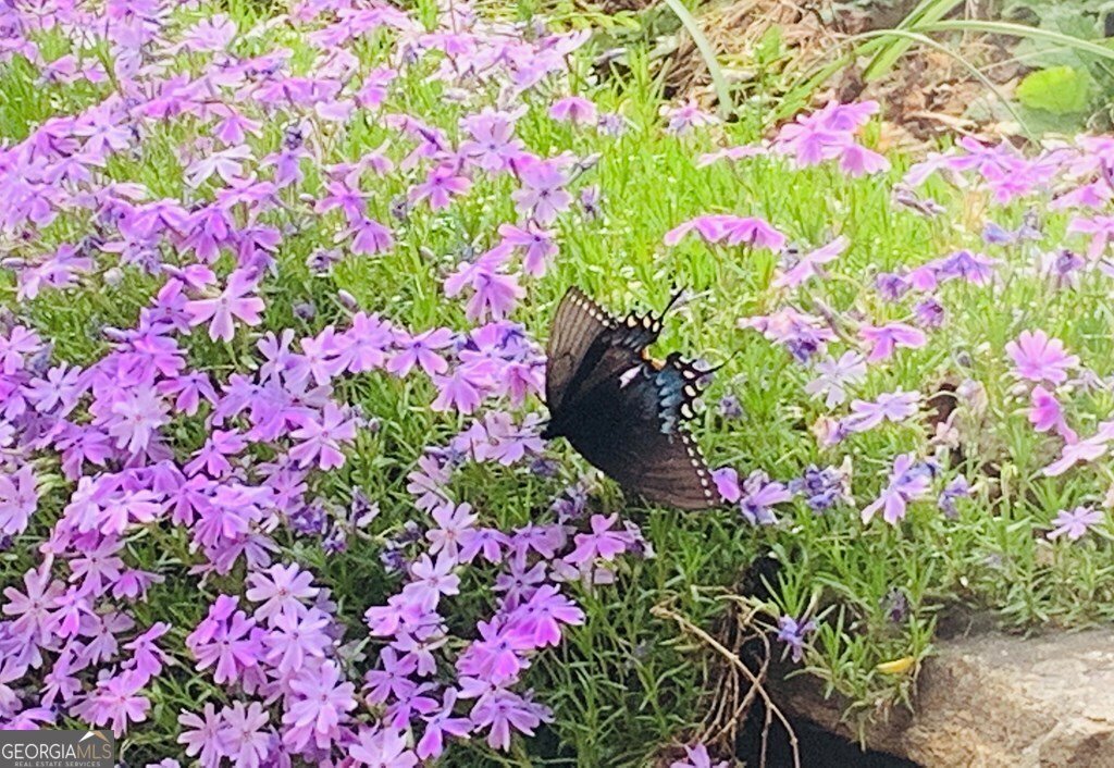 1022 Coweeta Gap Road Otto - Photo 49