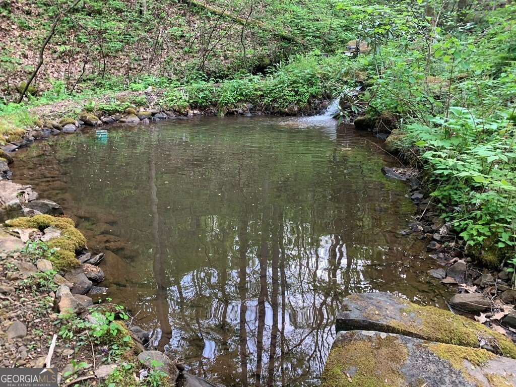 1022 Coweeta Gap Road Otto - Photo 50