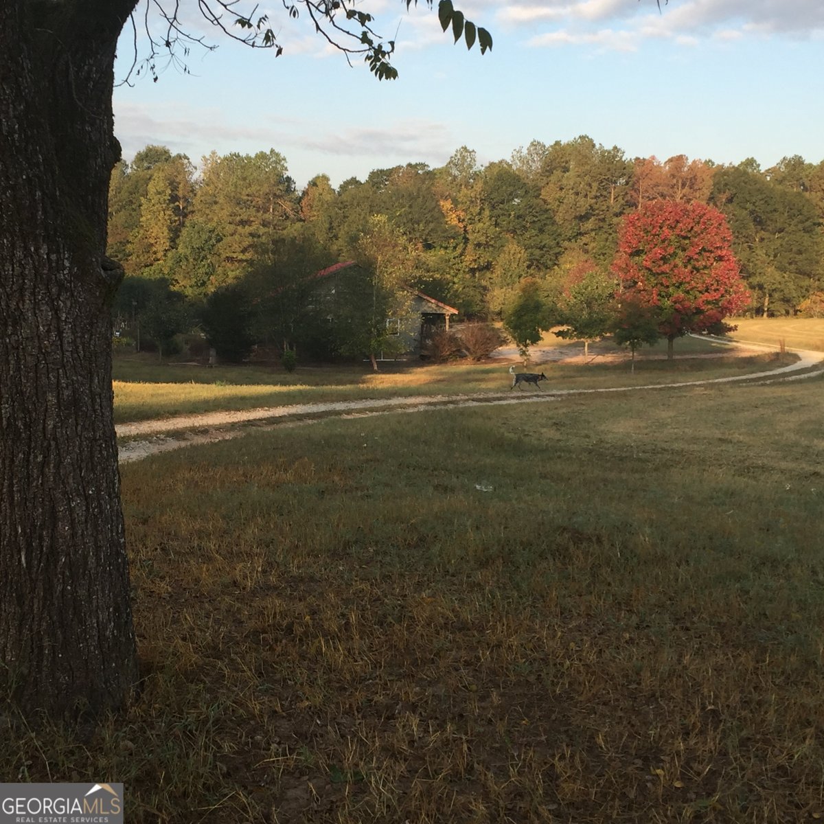 429 Frank Kelley Road Canon - Photo 25