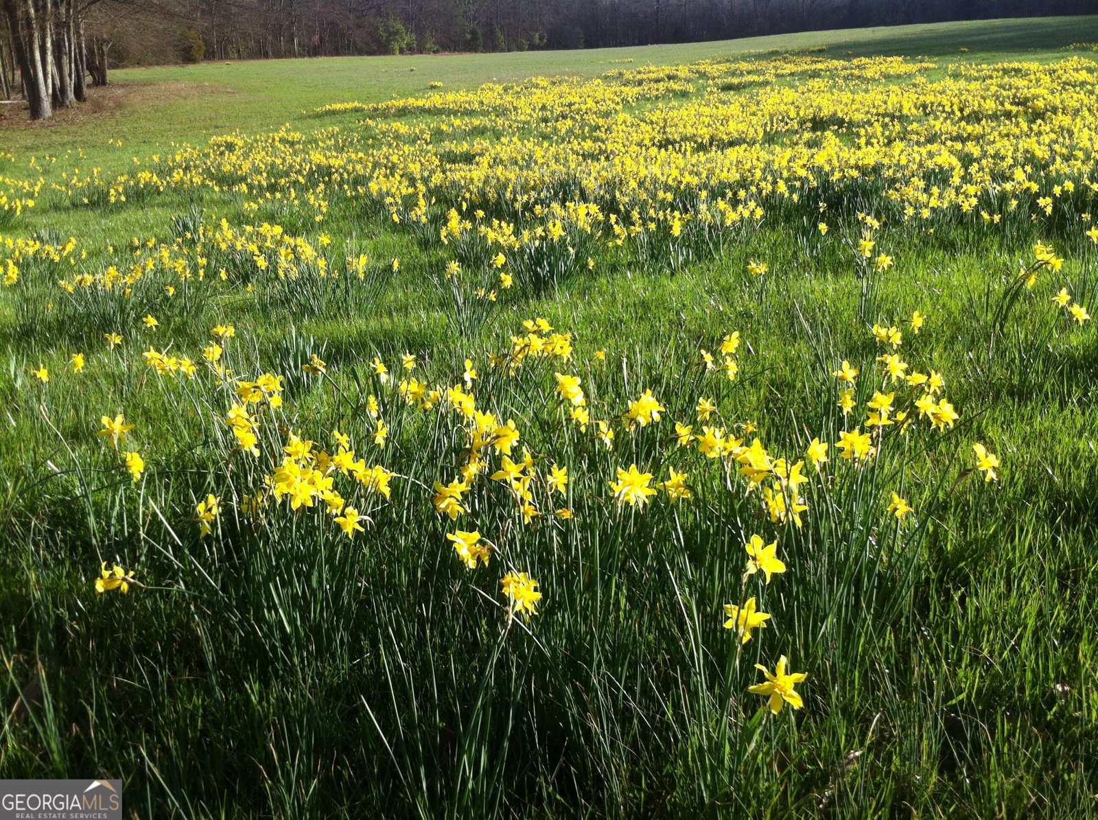 429 Frank Kelley Road Canon - Photo 26