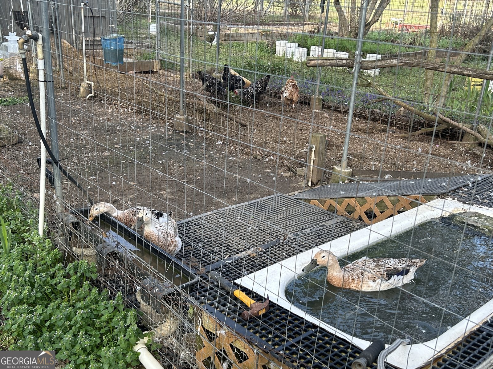 429 Frank Kelley Road Canon - Photo 29