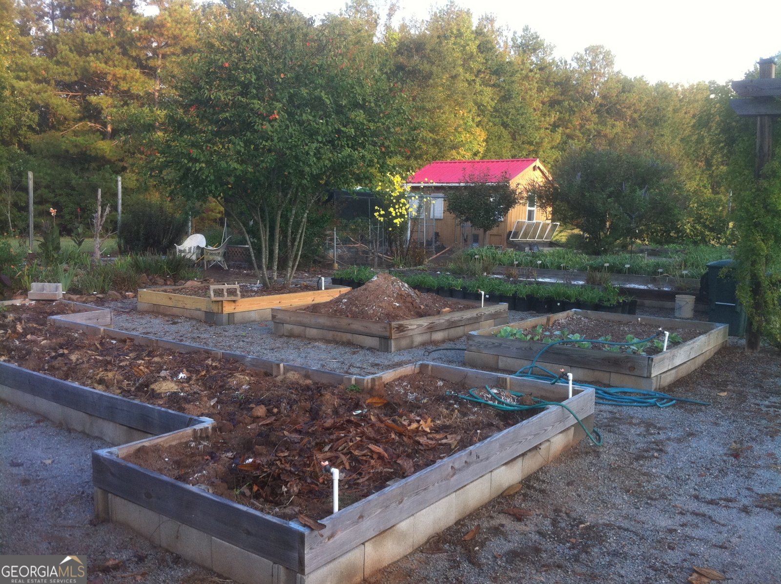 429 Frank Kelley Road Canon - Photo 30