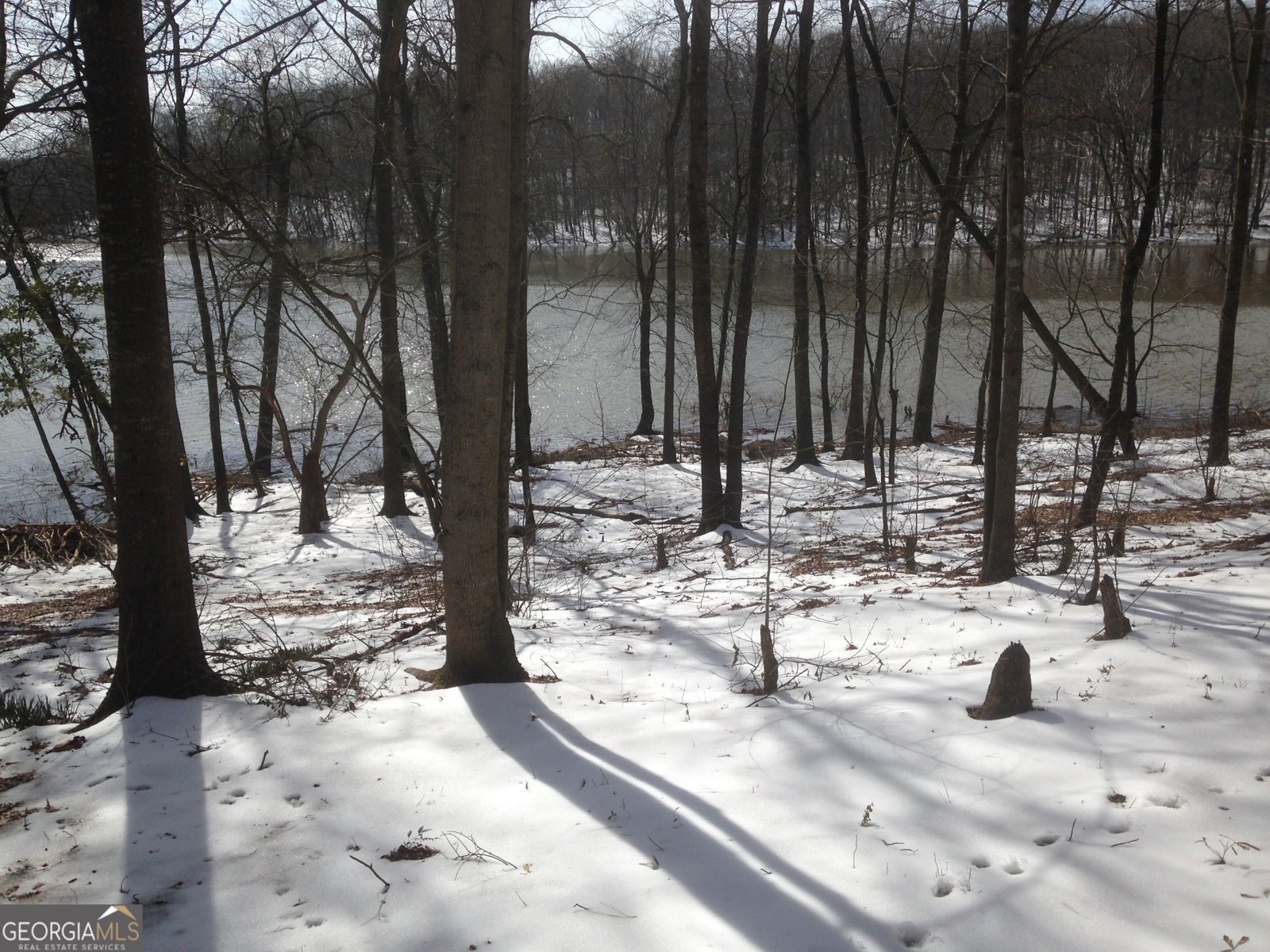 429 Frank Kelley Road Canon - Photo 33