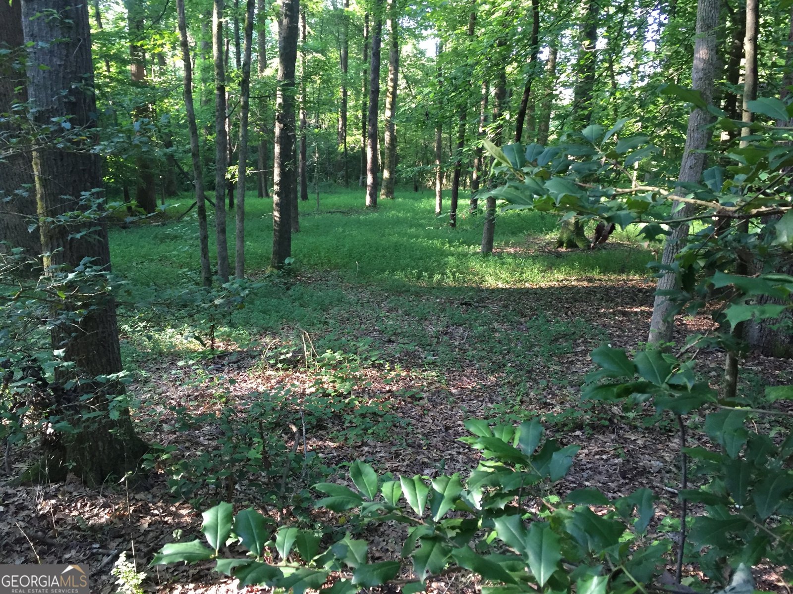 429 Frank Kelley Road Canon - Photo 34