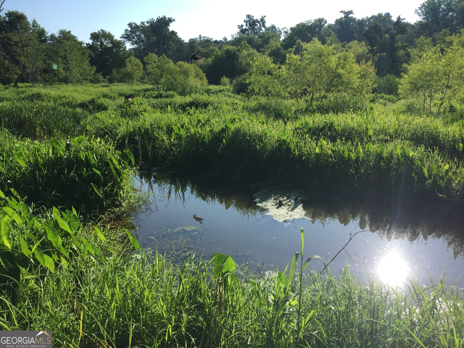 429 Frank Kelley Road Canon - Photo 35