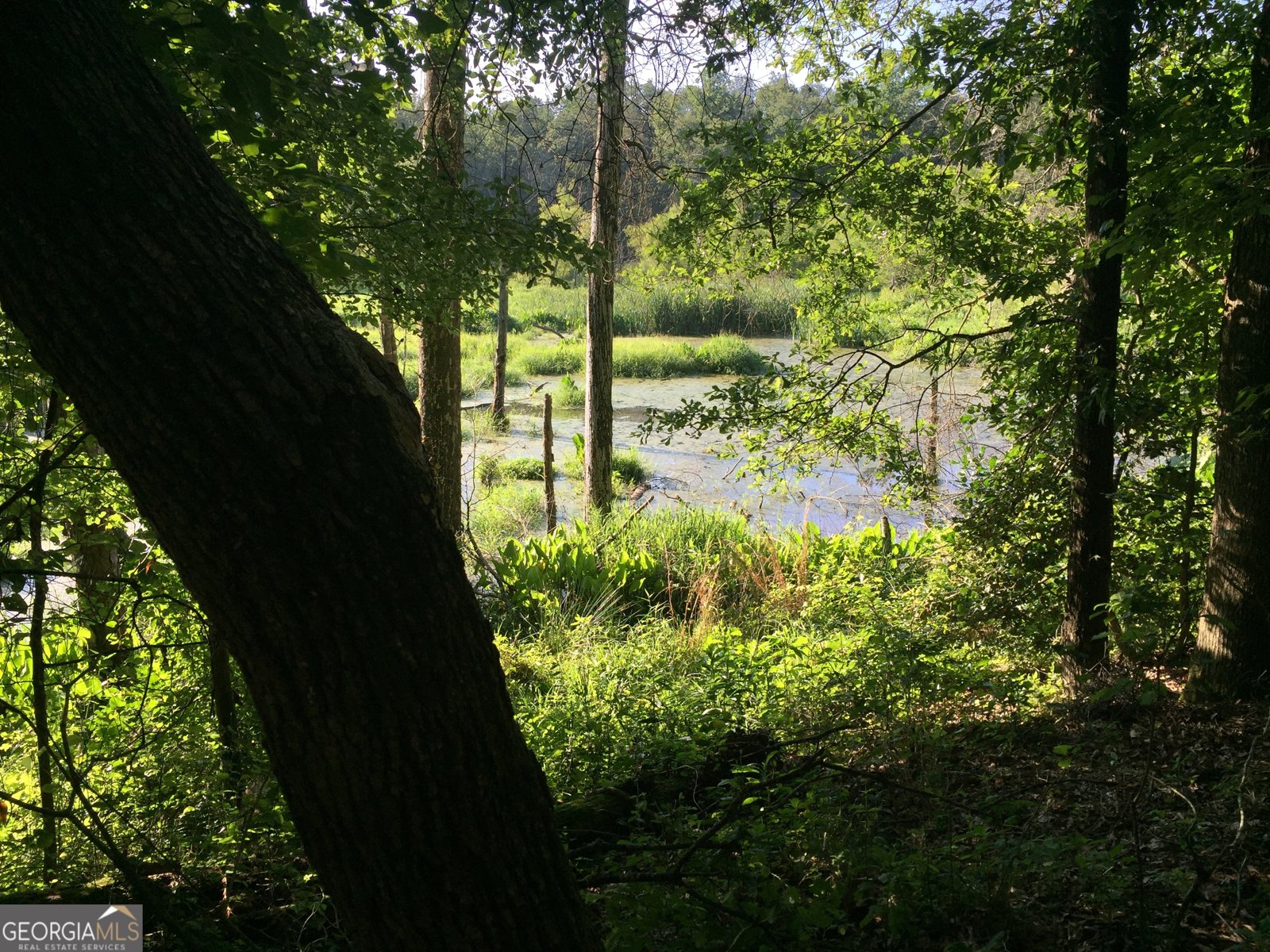 429 Frank Kelley Road Canon - Photo 36