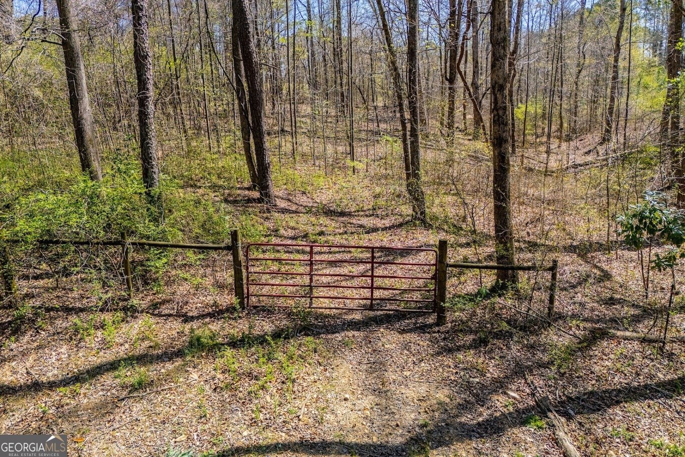 1121 Highway 27 Bremen - Photo 74