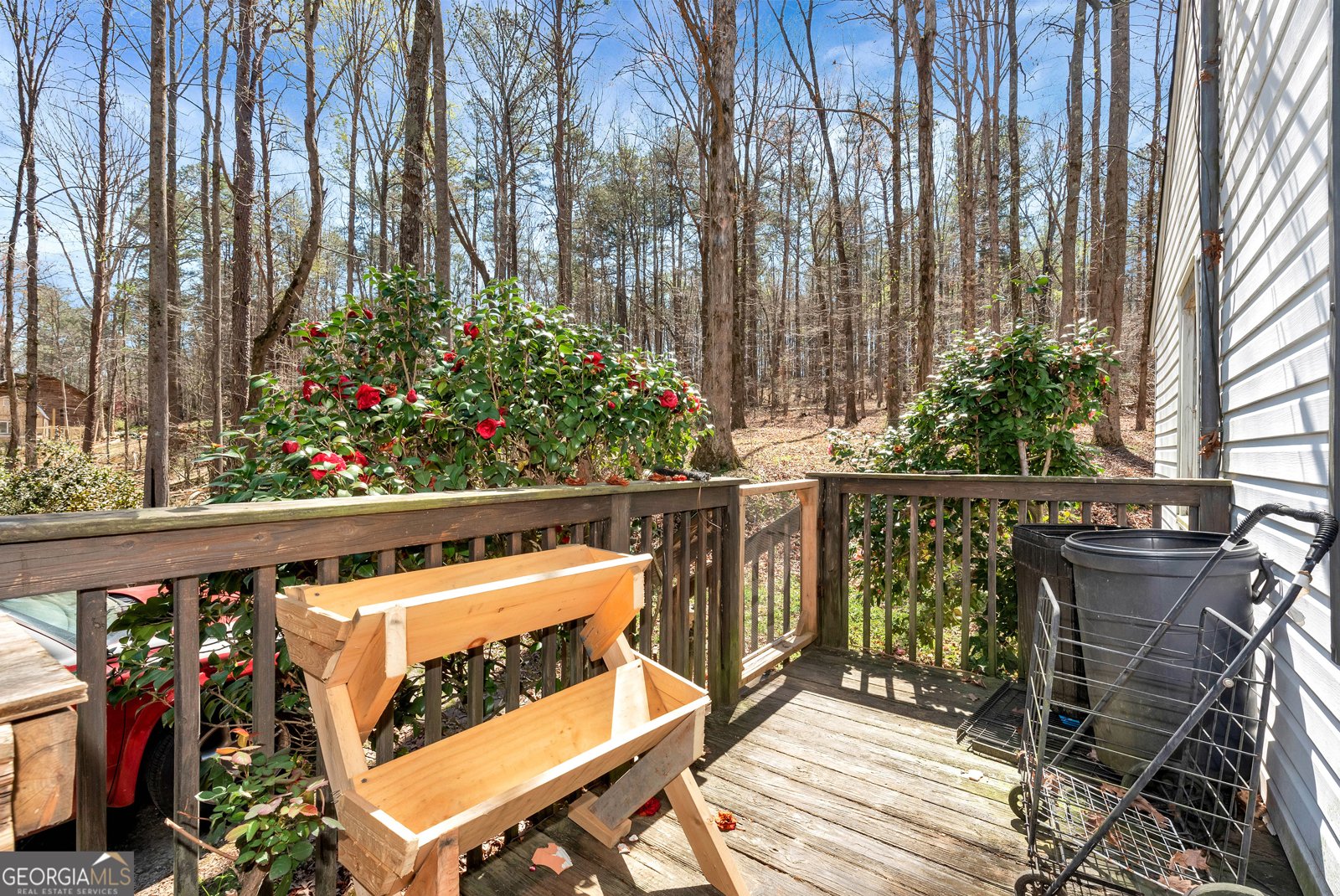 174 Goodson Road Dawsonville - Photo 11