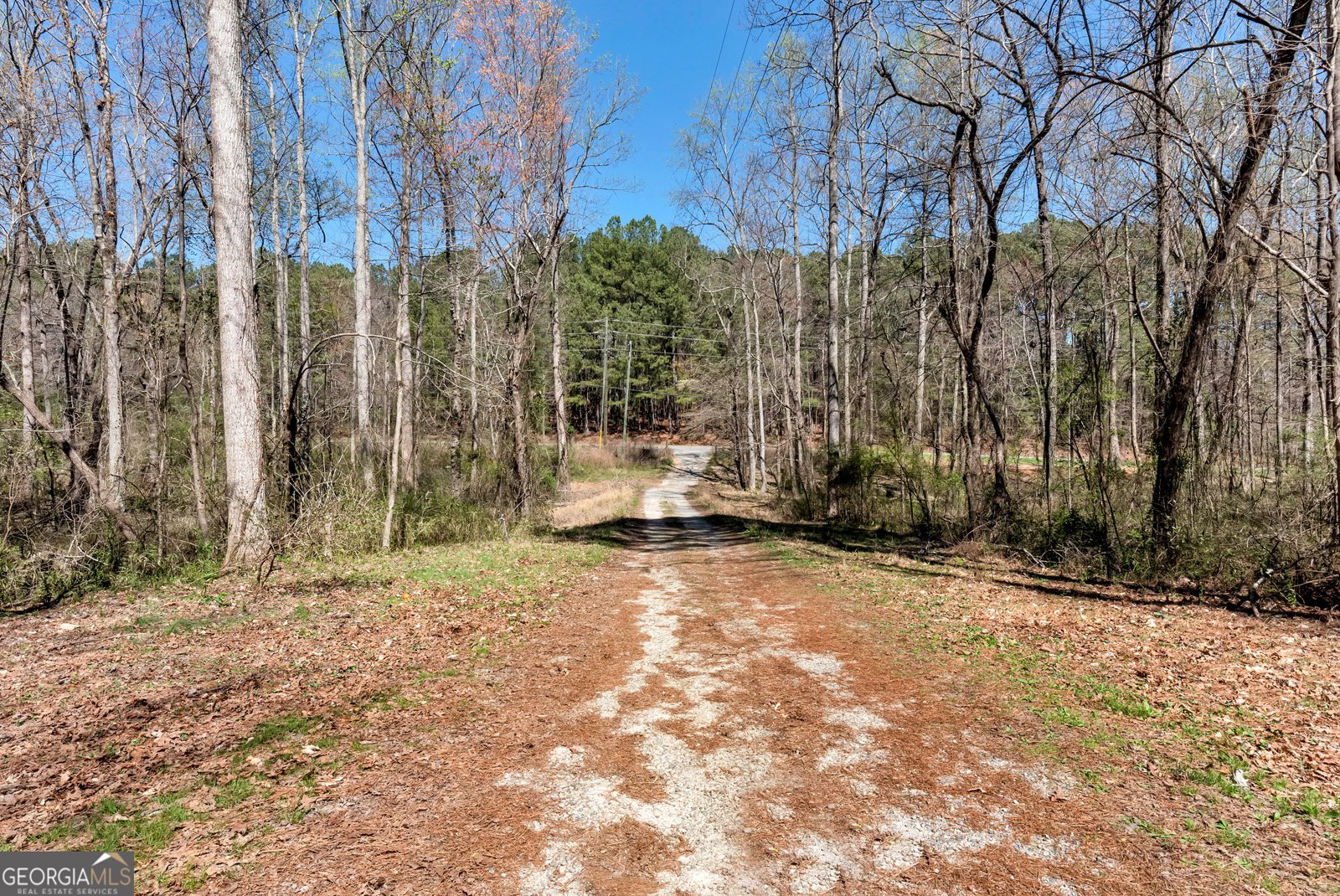 174 Goodson Road Dawsonville - Photo 16