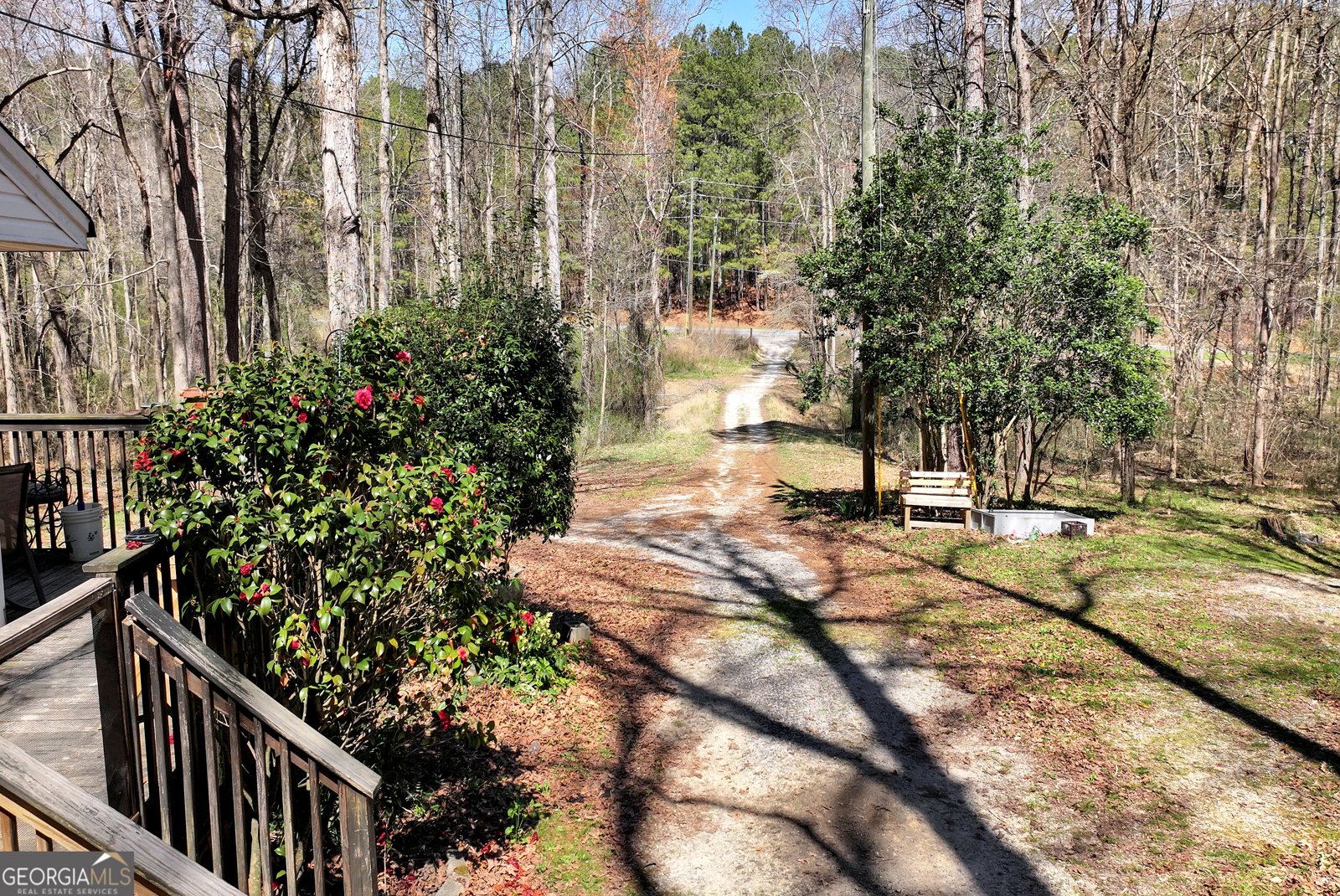 174 Goodson Road Dawsonville - Photo 17