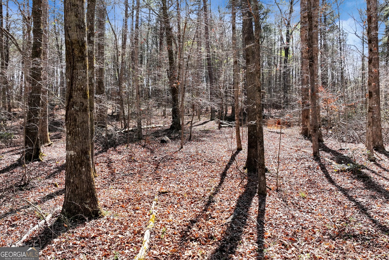 174 Goodson Road Dawsonville - Photo 28