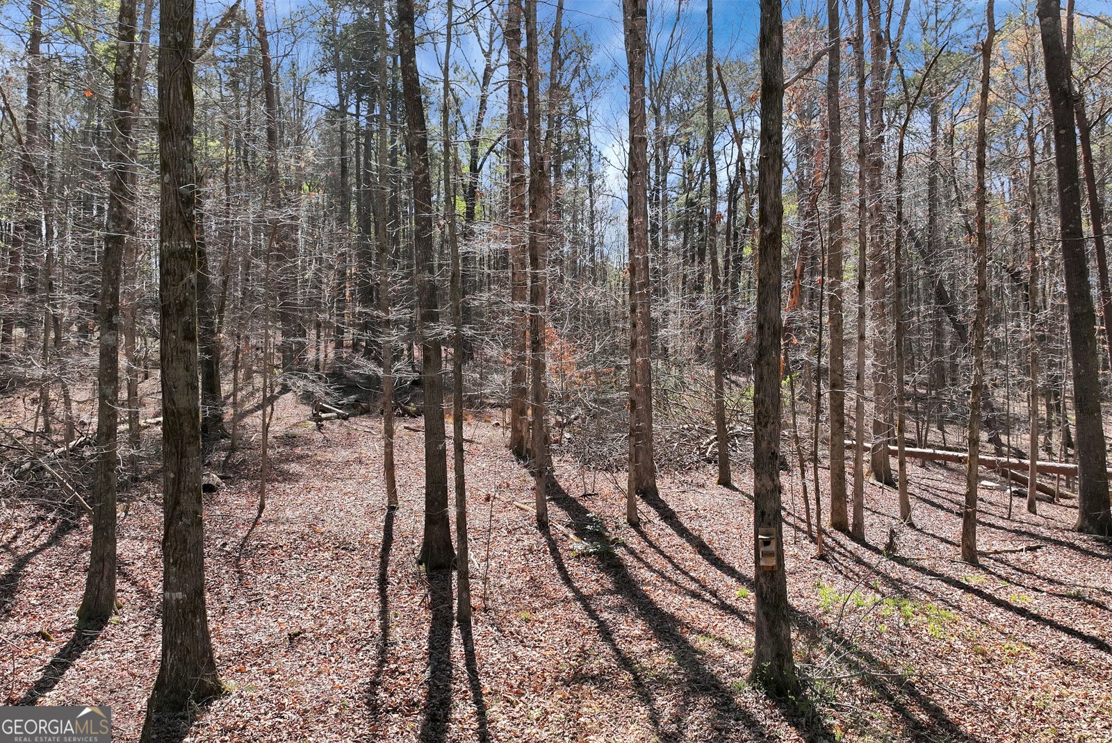 174 Goodson Road Dawsonville - Photo 29