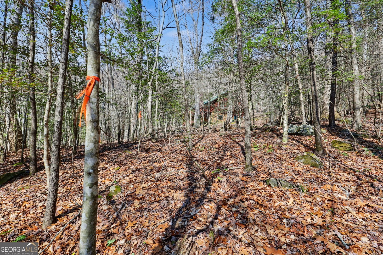 182 Blueberry Lane Rabun Gap - Photo 37