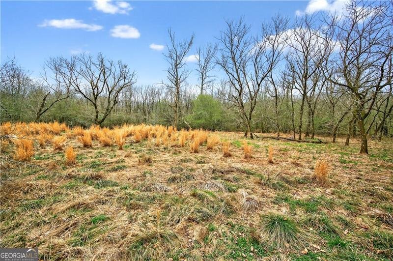 2281 Barrett Drive Cumming - Photo 29