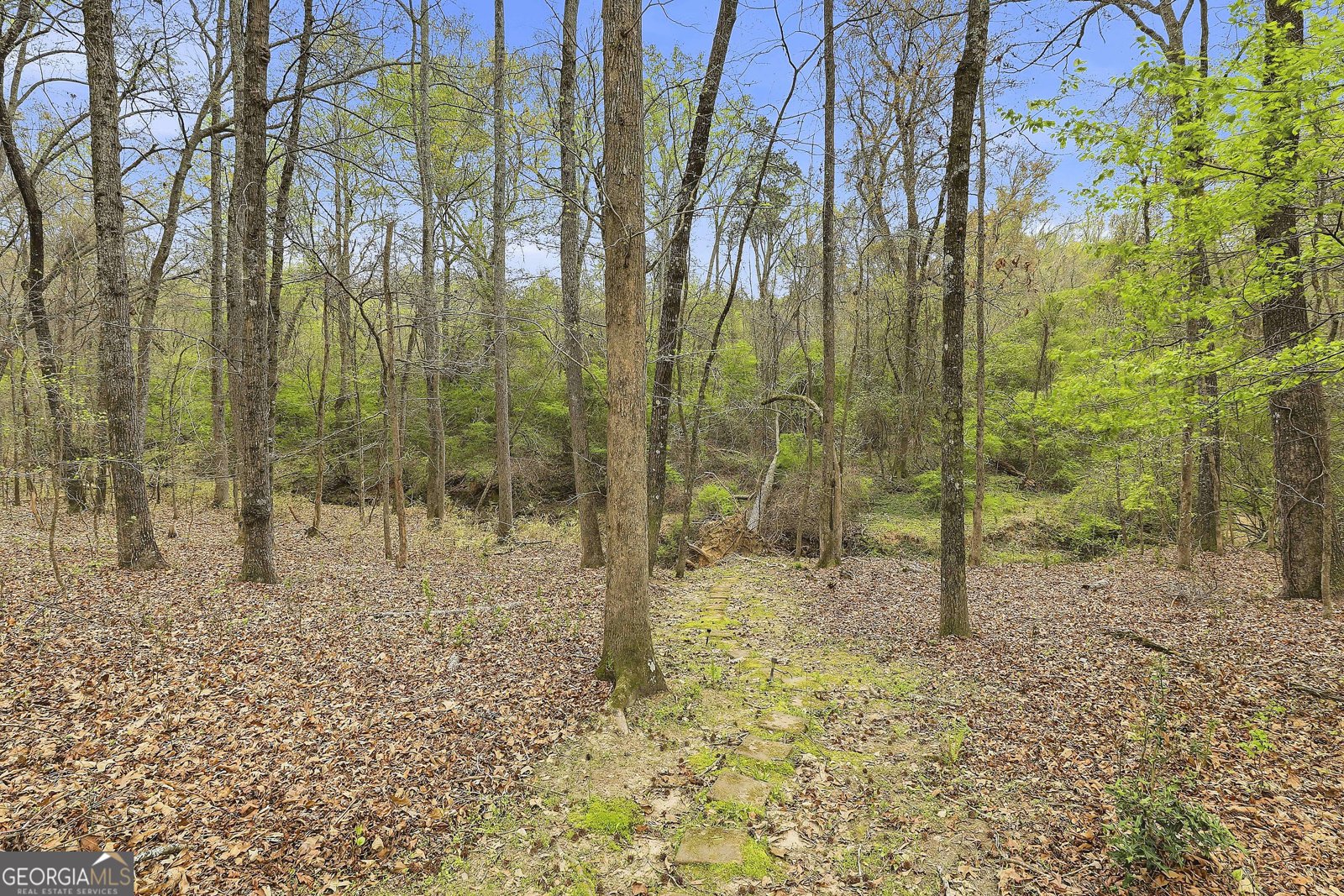 255 Stoneridge Way Fayetteville - Photo 45