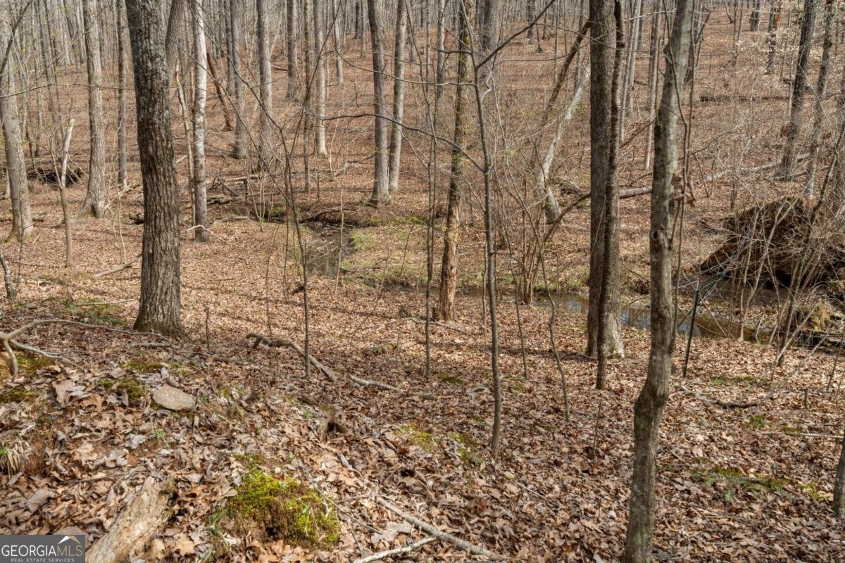 9710 South Helton Road Winston - Photo 27