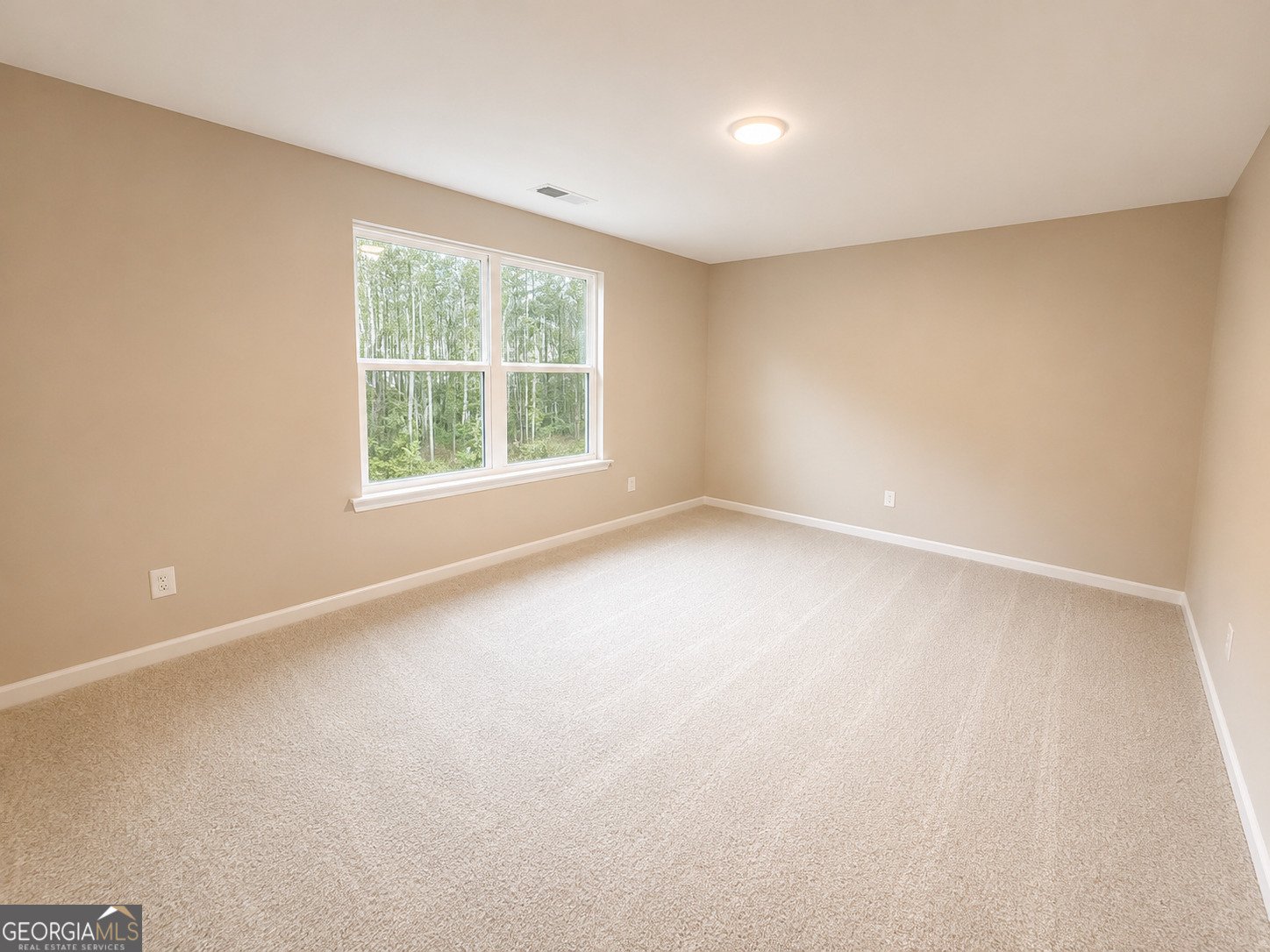 41 Commanche Circle Williamson - Photo 36