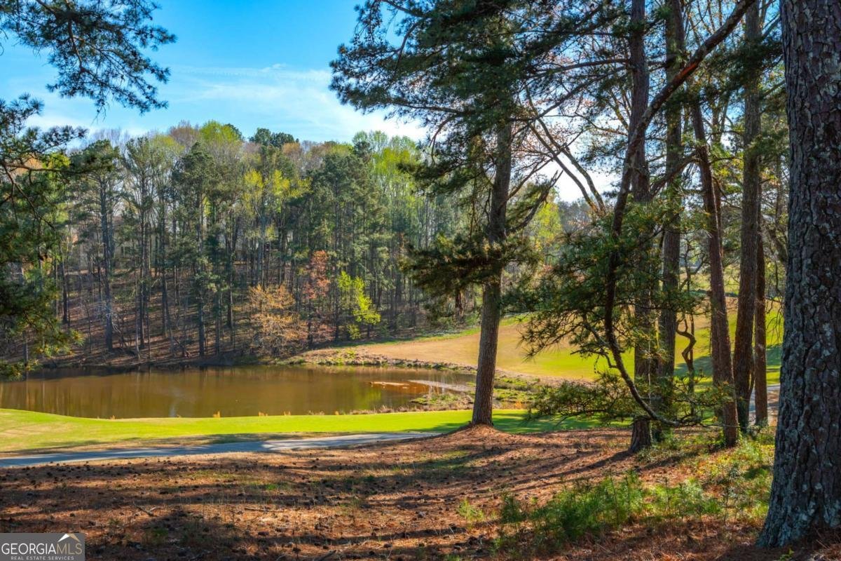 1263 Frey Lake Court Kennesaw - Photo 53