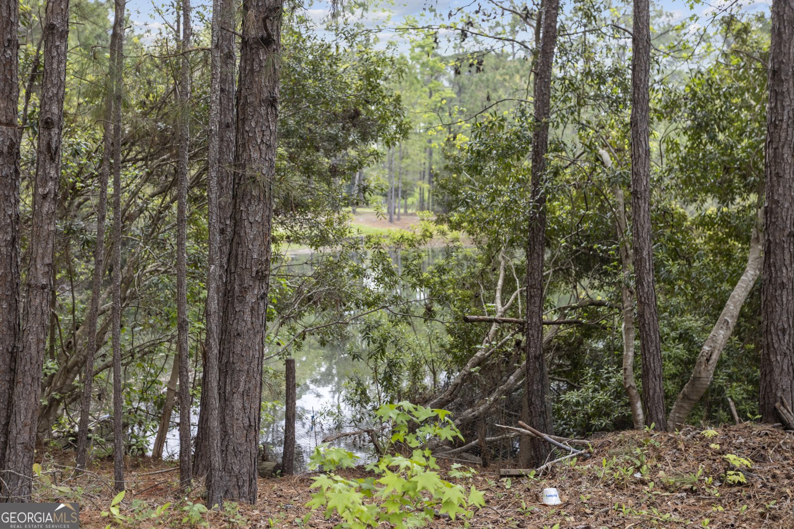 160 Hall Street Hinesville - Photo 31