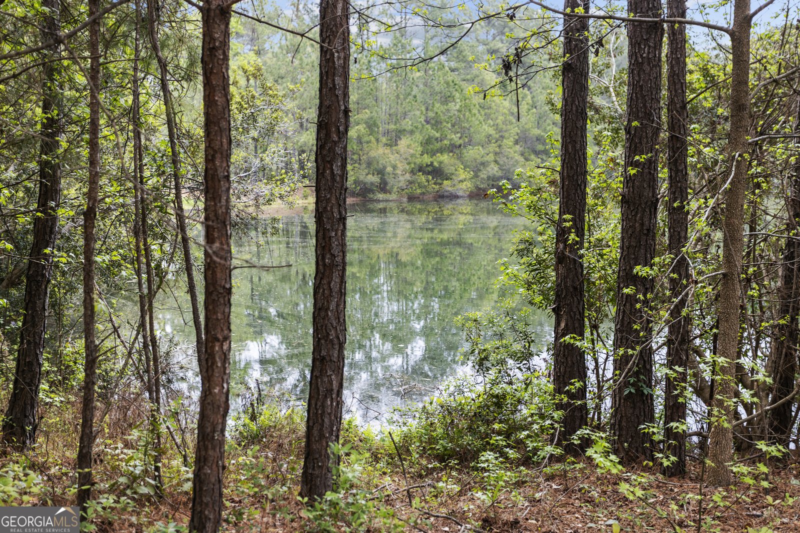 160 Hall Street Hinesville - Photo 32