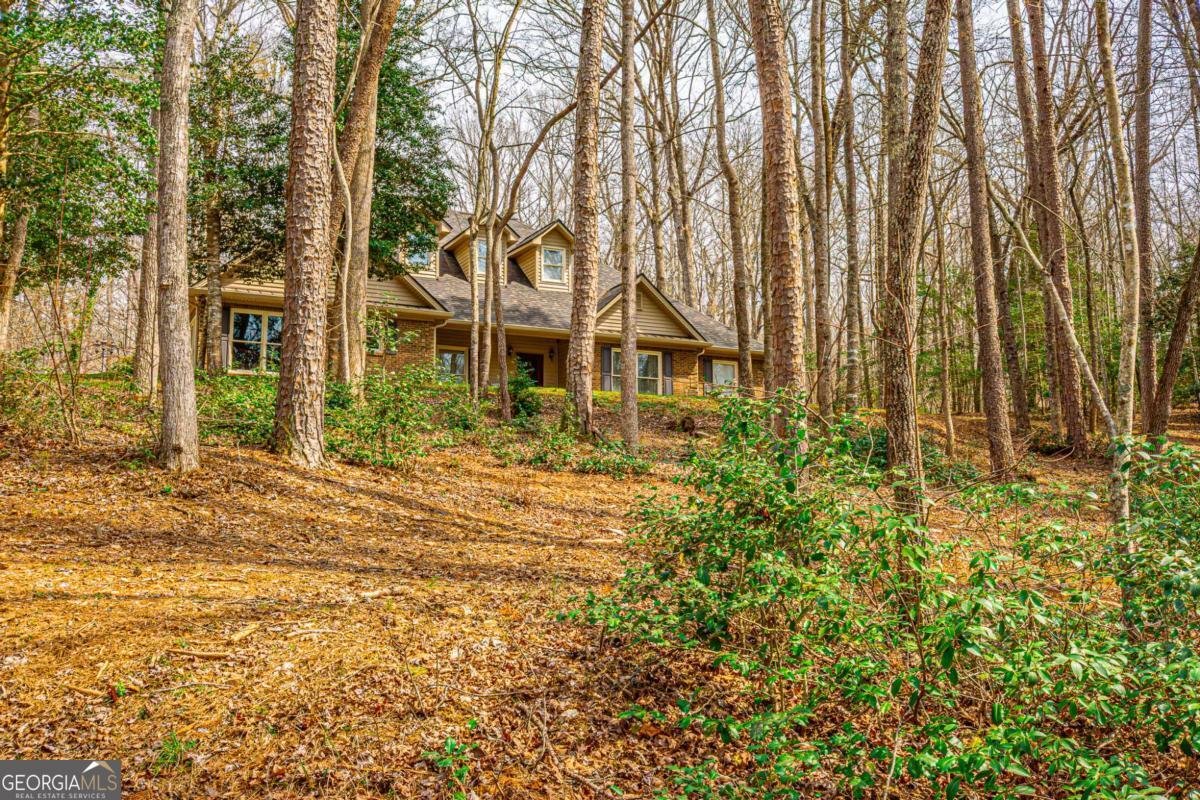 240 Christy Lane Dahlonega - Photo 100