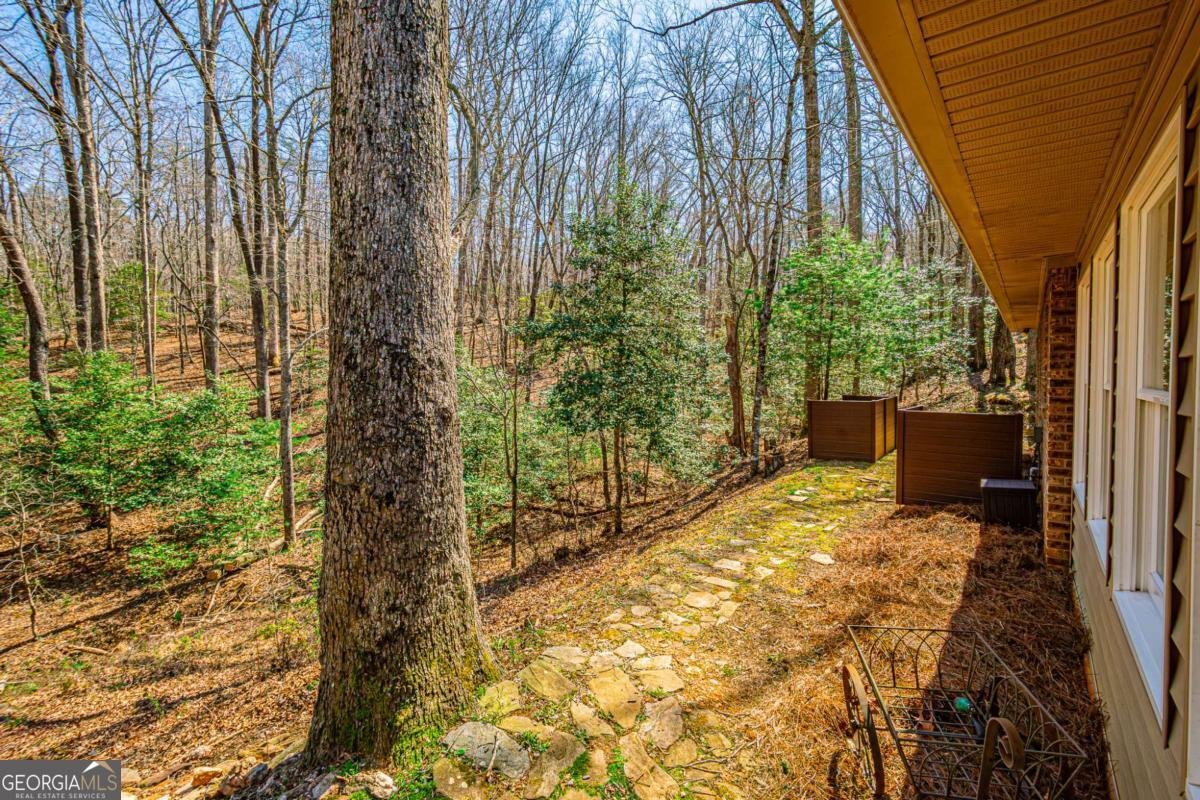 240 Christy Lane Dahlonega - Photo 27