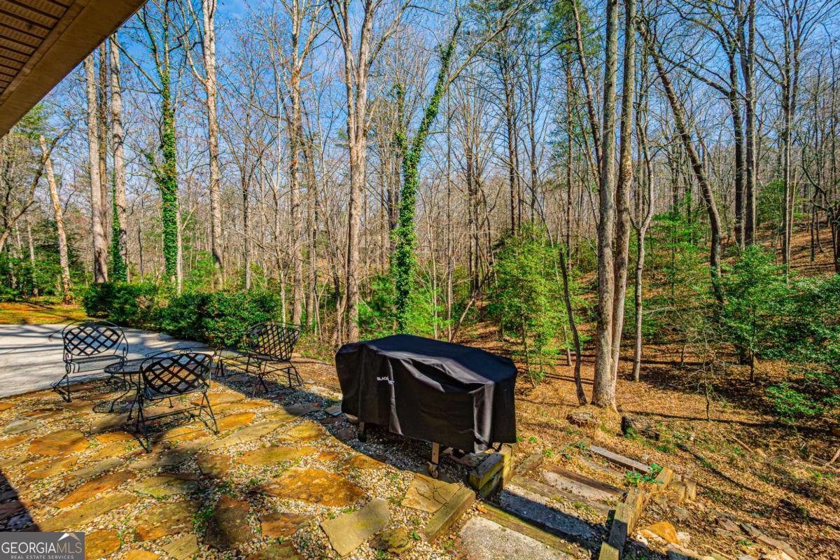 240 Christy Lane Dahlonega - Photo 28