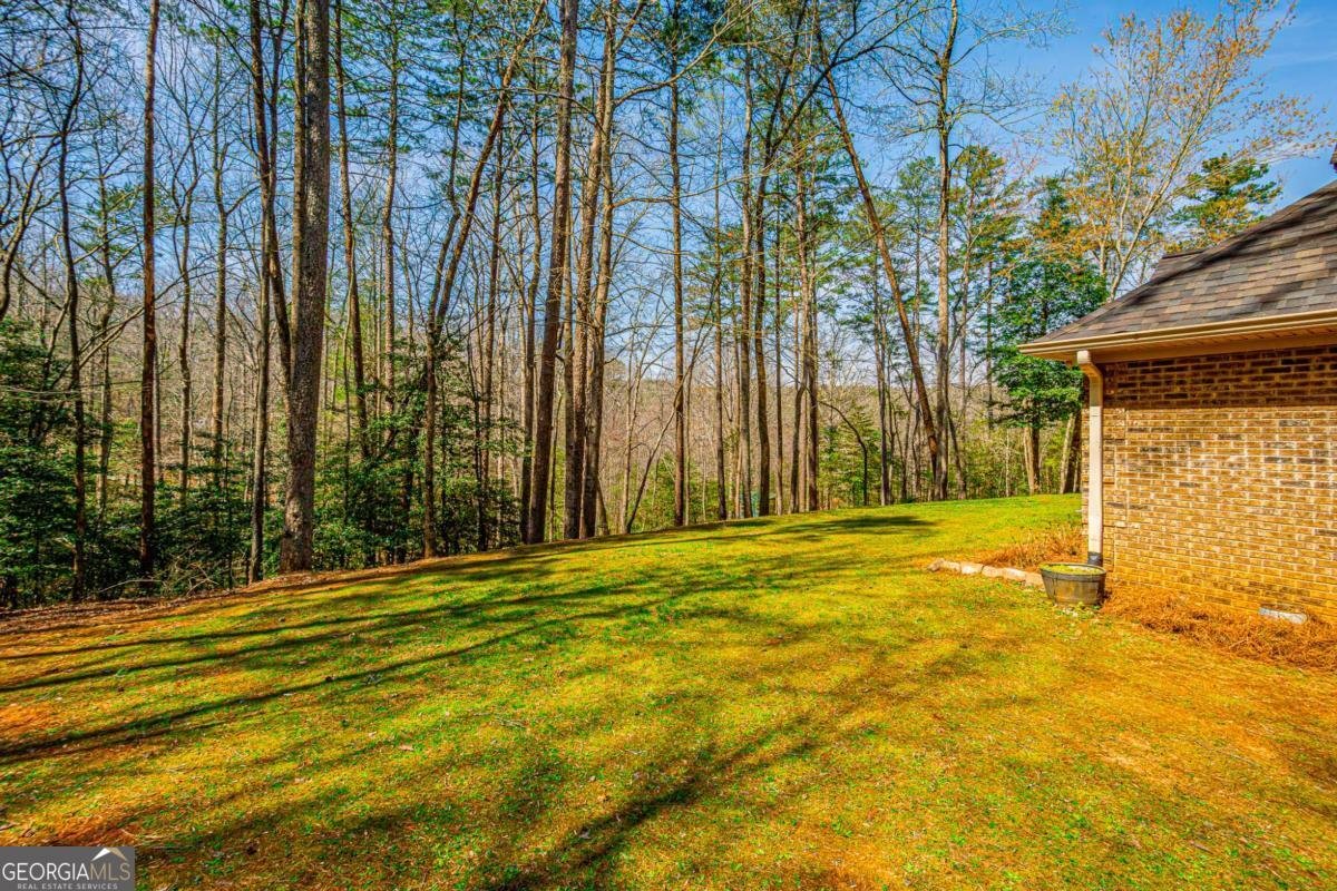 240 Christy Lane Dahlonega - Photo 29