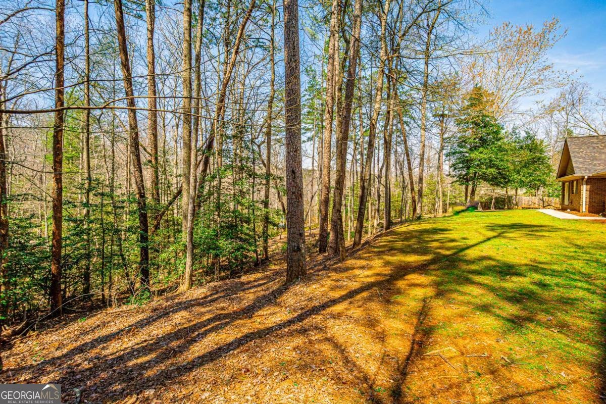 240 Christy Lane Dahlonega - Photo 31