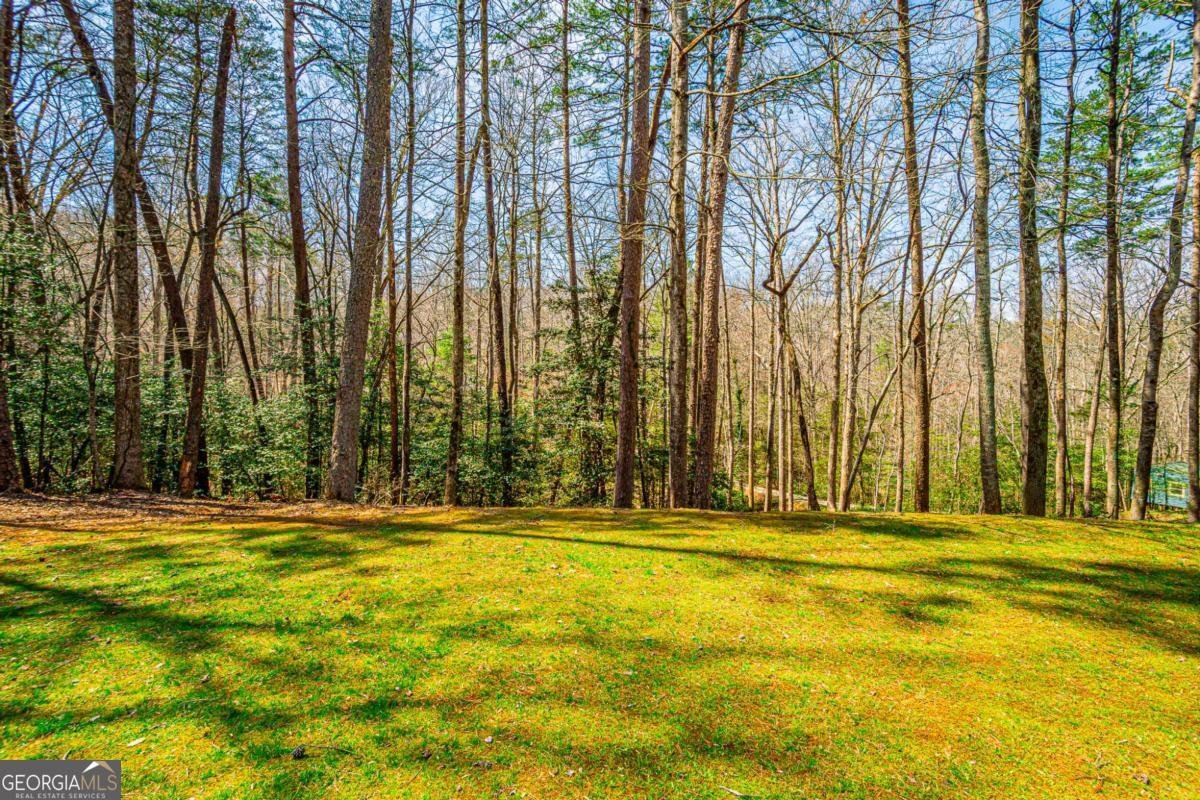 240 Christy Lane Dahlonega - Photo 32