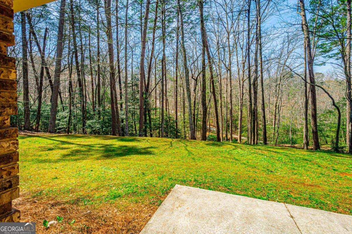 240 Christy Lane Dahlonega - Photo 33