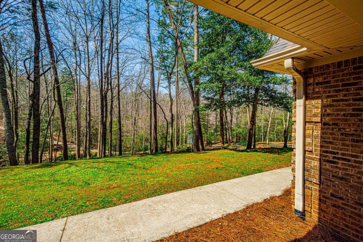 240 Christy Lane Dahlonega - Photo 34