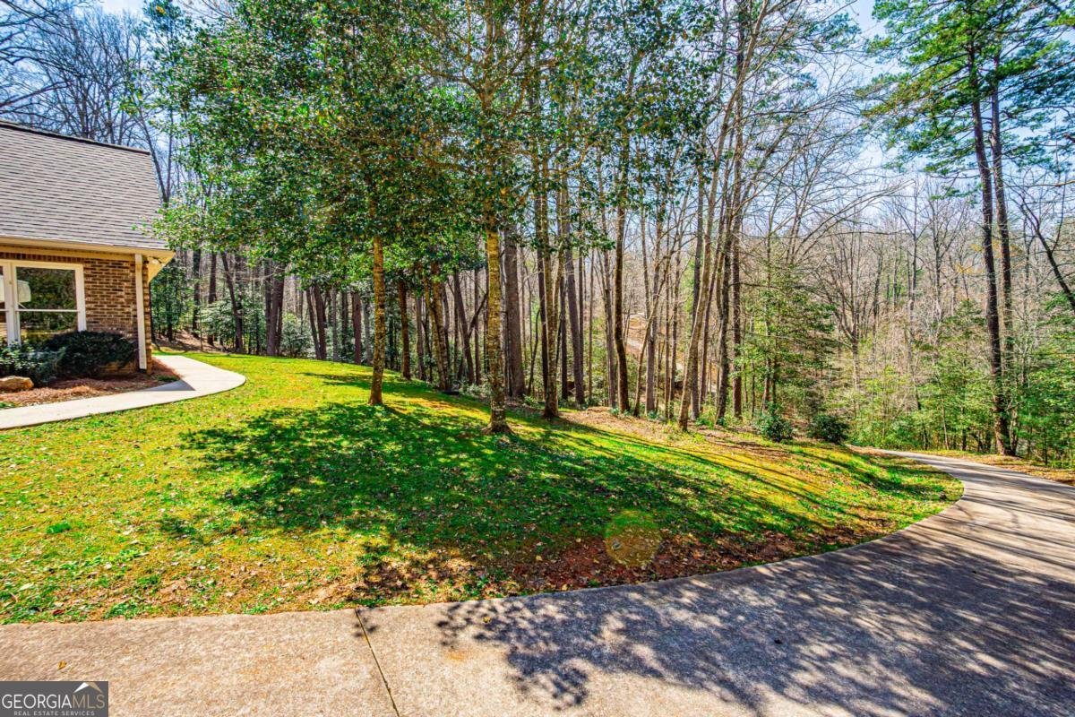 240 Christy Lane Dahlonega - Photo 35