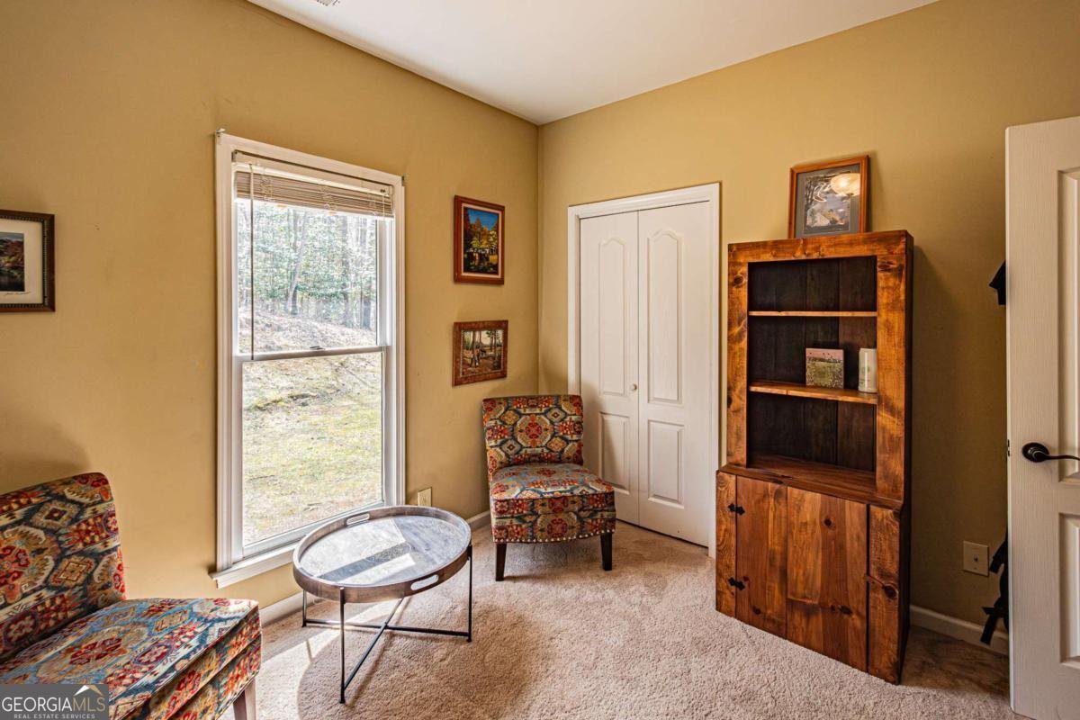 240 Christy Lane Dahlonega - Photo 74