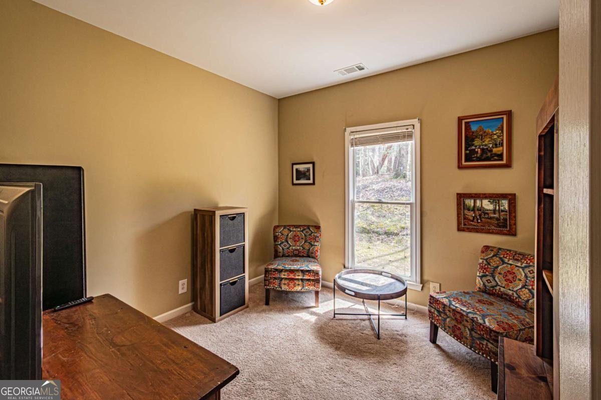 240 Christy Lane Dahlonega - Photo 75