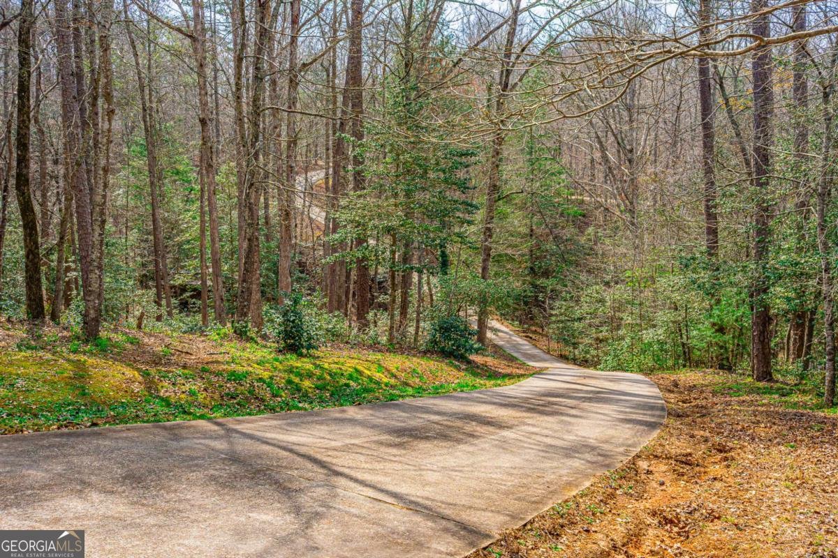 240 Christy Lane Dahlonega - Photo 97