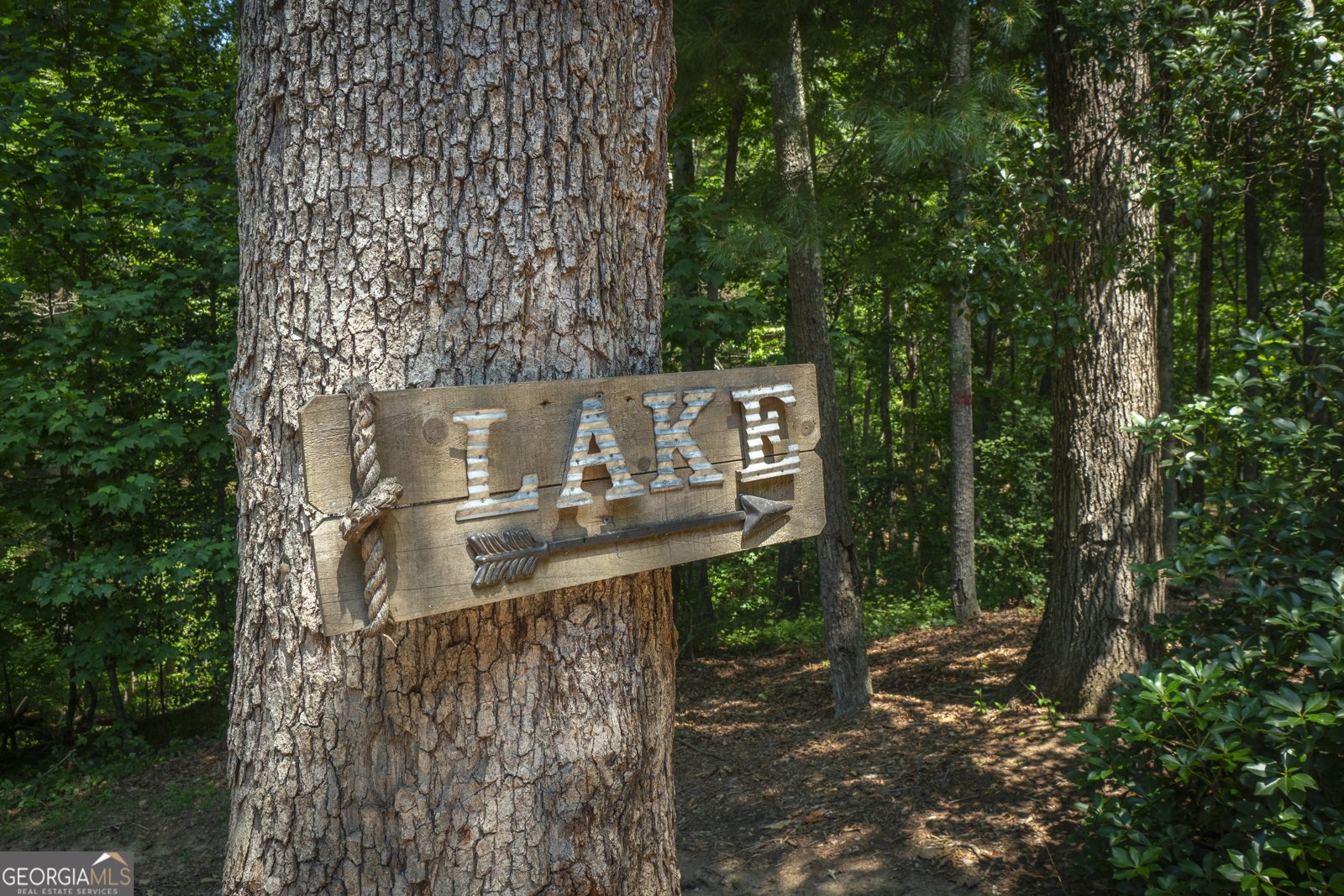 125 Sang Springs Trail Cleveland - Photo 46