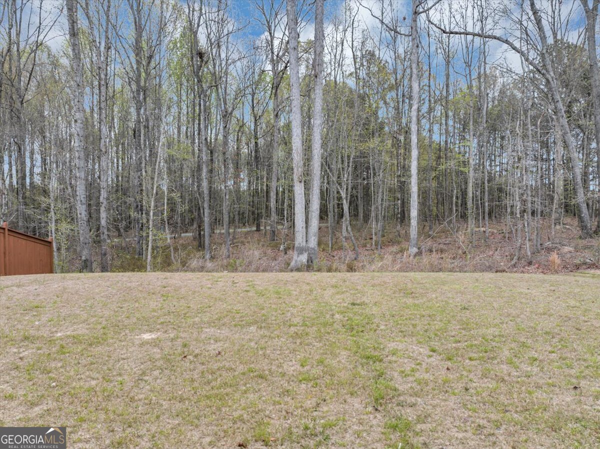 609 Azalea Bloom Drive Loganville - Photo 46