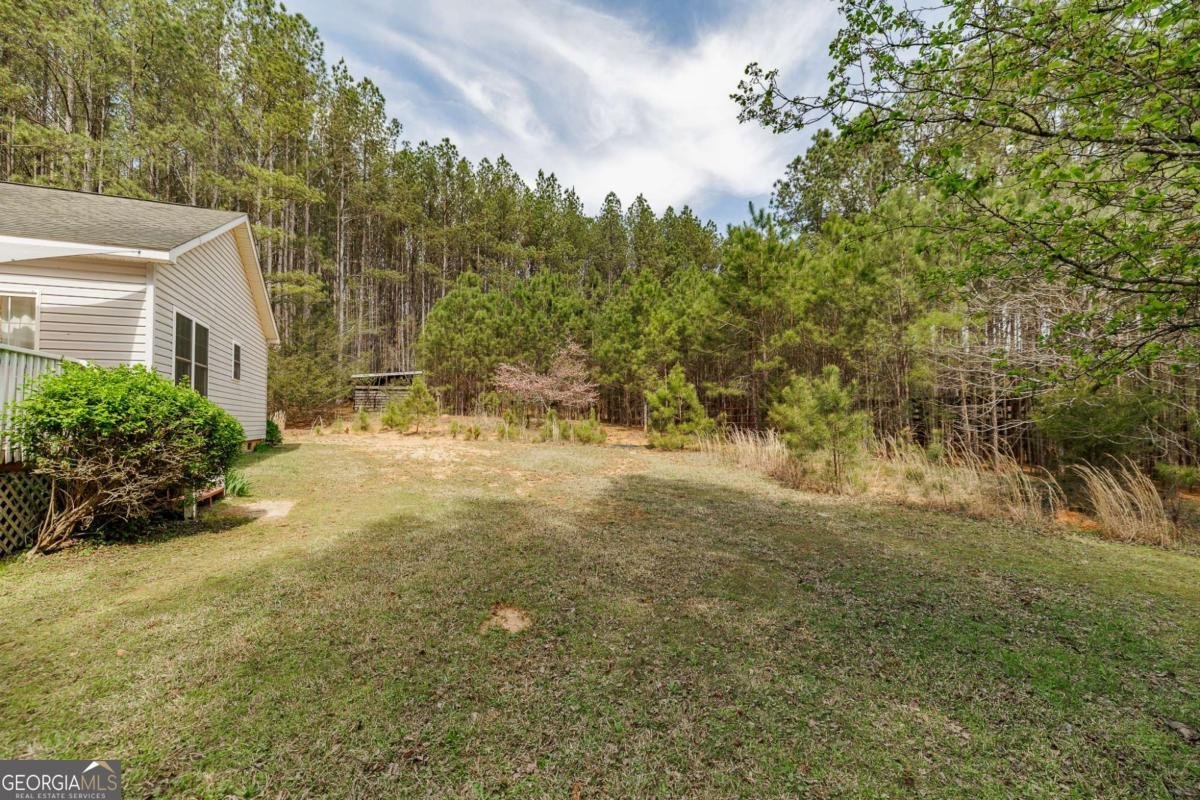 2970 Davids Home Church Road Comer - Photo 39