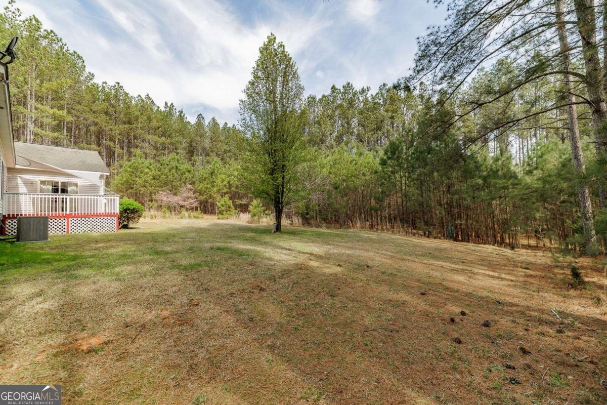 2970 Davids Home Church Road Comer - Photo 40