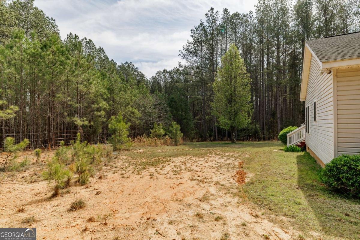 2970 Davids Home Church Road Comer - Photo 41