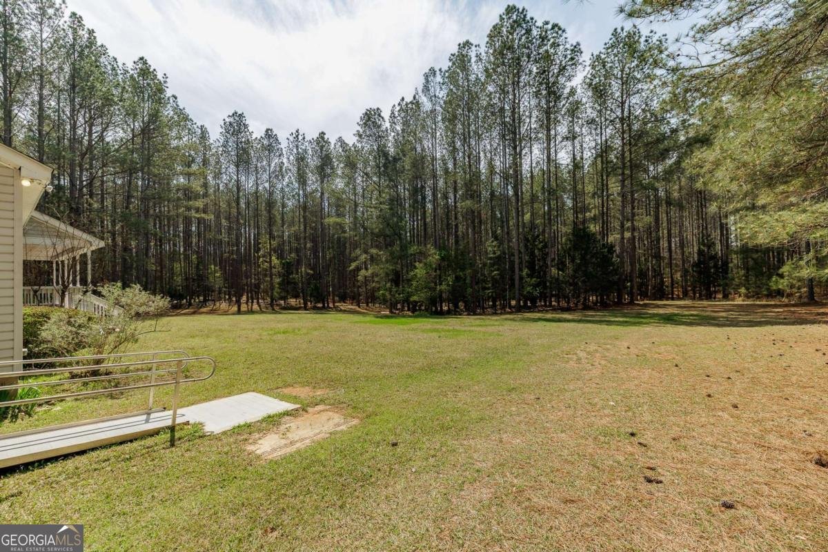 2970 Davids Home Church Road Comer - Photo 43