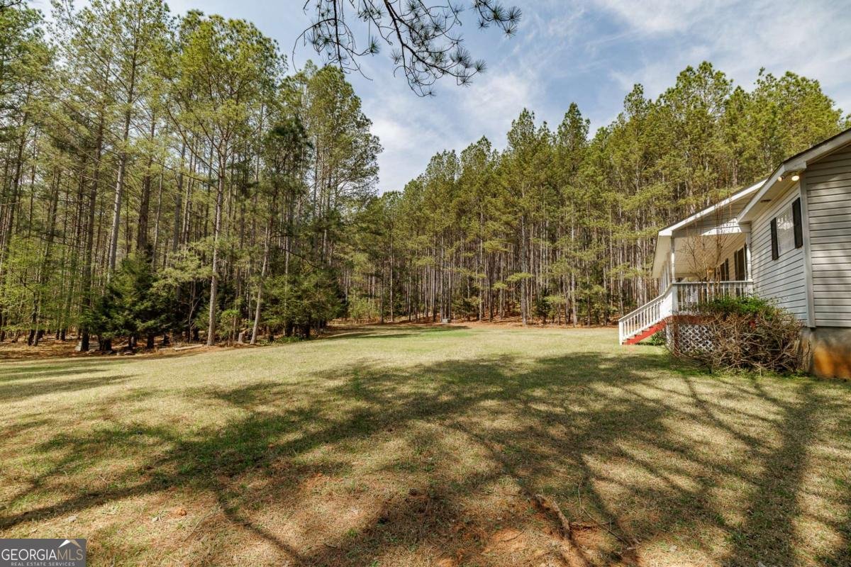 2970 Davids Home Church Road Comer - Photo 44