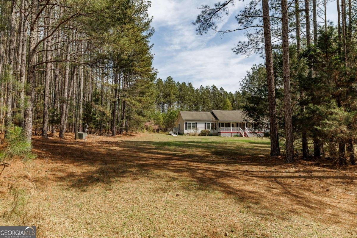 2970 Davids Home Church Road Comer - Photo 49