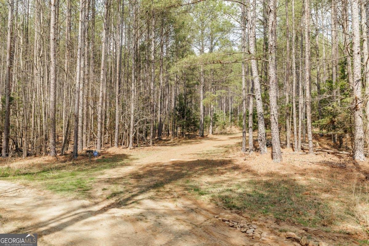 2970 Davids Home Church Road Comer - Photo 50