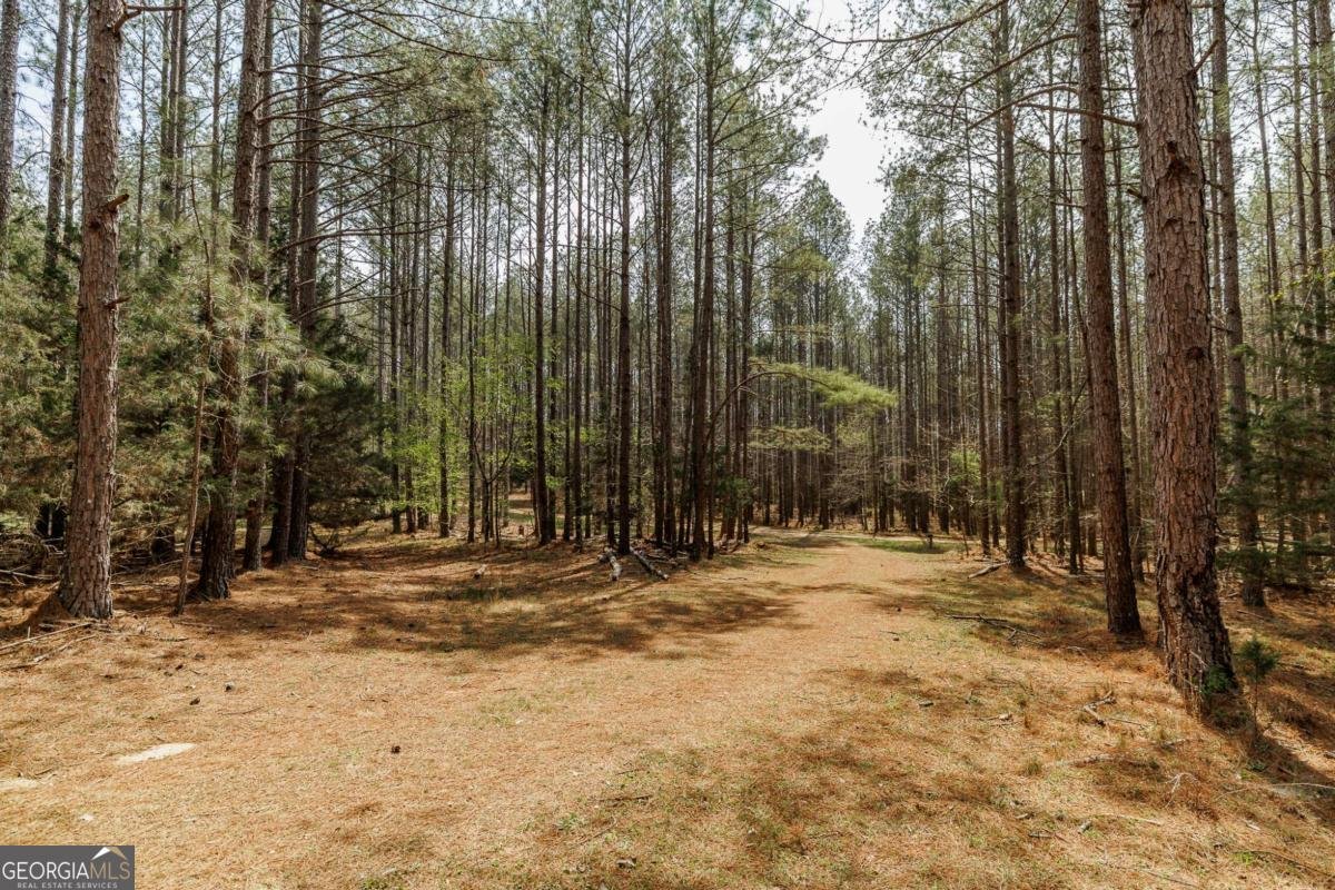 2970 Davids Home Church Road Comer - Photo 51