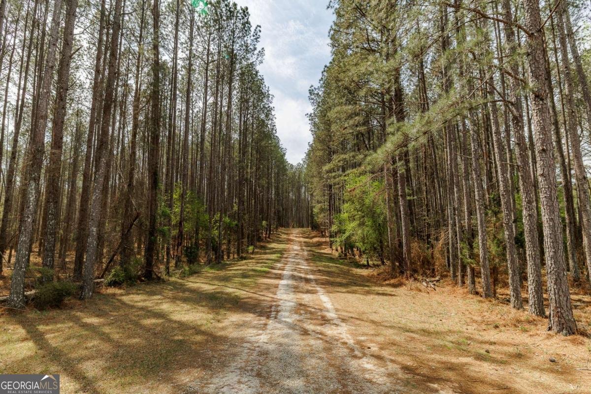 2970 Davids Home Church Road Comer - Photo 52